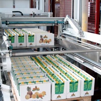 Lagenpalettierer_Palus500_4