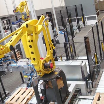 palettieranlage_robus_4